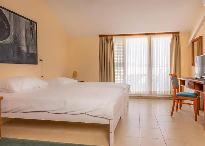 Arcadium Gasthuis Tribalj